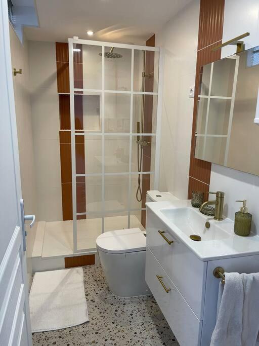 Nid Douillet Proche Capitole Apartment Toulouse Exterior foto