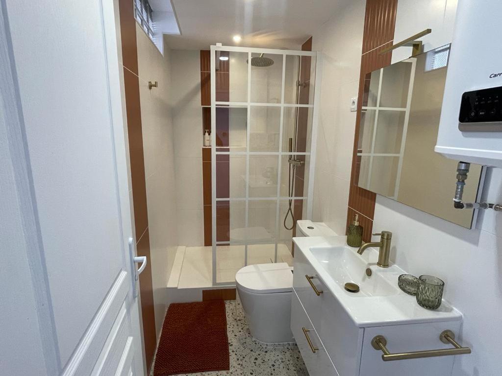 Nid Douillet Proche Capitole Apartment Toulouse Exterior foto